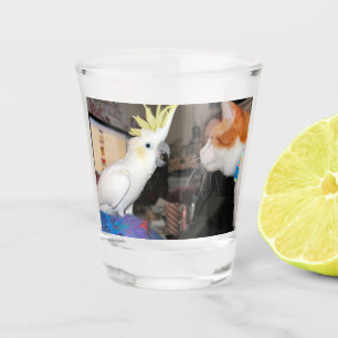 Okay...make myself look big shot glass