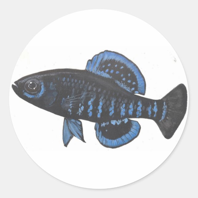 Okefenokee pygmy sunfish Sticker (Front)
