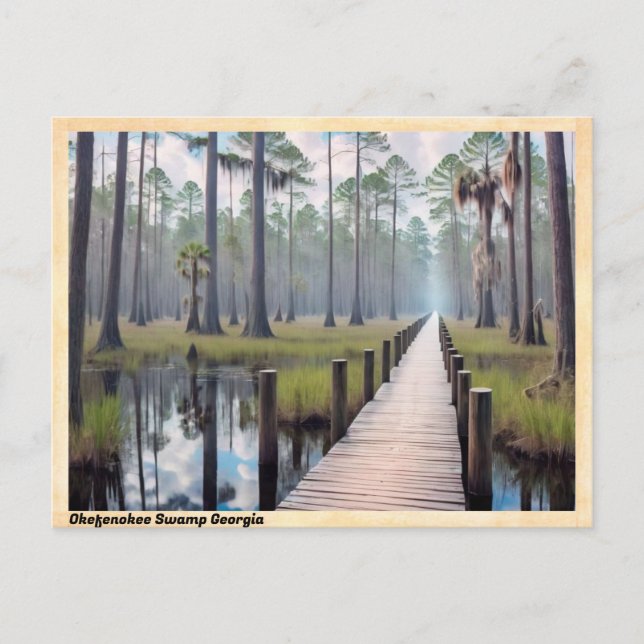 Okefenokee Swamp Georgia Vintage Travel Postcard (Front)