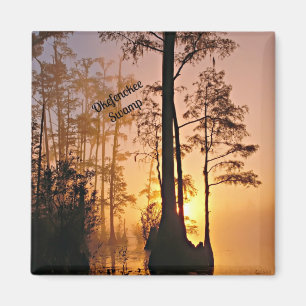 Okefenokee Swamp Magnet