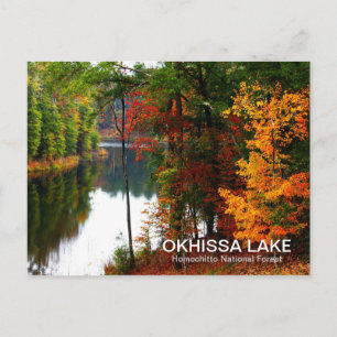 Okhissa Lake - Homochitto National Forest Postcard