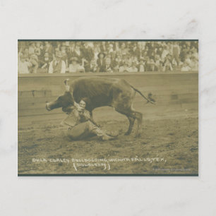 Oklahoma Culy bulldogging. Postcard