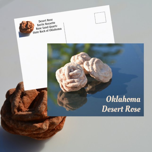 Oklahoma Desert Rose Sand Quartz Rock Photographic Postcard (Creator Uploaded)