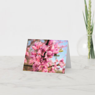 Oklahoma Redbud Note Card