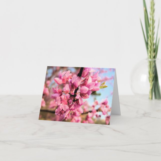 Oklahoma Redbud Note Card (Front)