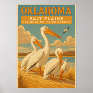 Oklahoma salt plains national wildlife refuge V01 Poster
