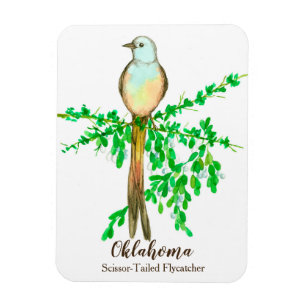 Oklahoma Scissor Tailed Fly Catcher Bird Magnet