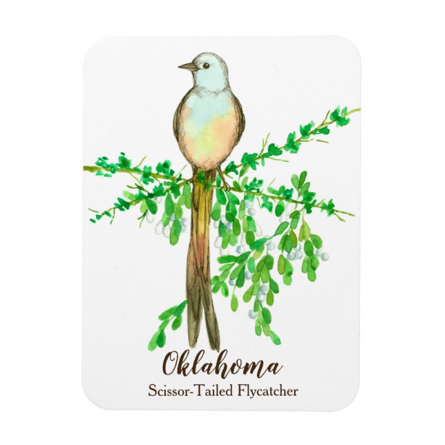Oklahoma Scissor Tailed Fly Catcher Bird Magnet (Vertical)