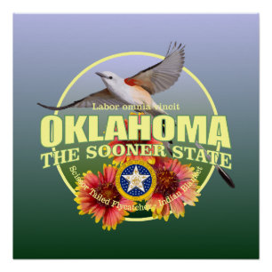 Oklahoma State Bird & Flower Poster