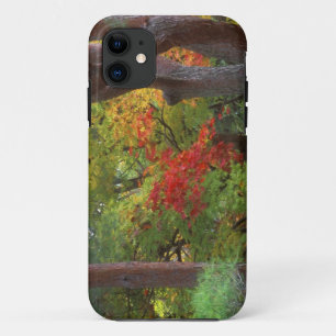 Okochi Sanso, Arashiyama, Kyoto, Japan 5 iPhone 11 Case