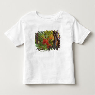 Okochi Sanso, Arashiyama, Kyoto, Japan 5 Toddler T-Shirt