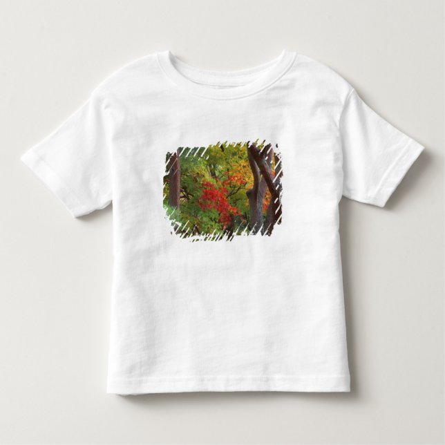 Okochi Sanso, Arashiyama, Kyoto, Japan 5 Toddler T-Shirt (Front)