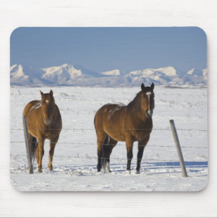 okotoks, alberta, canada mouse pad