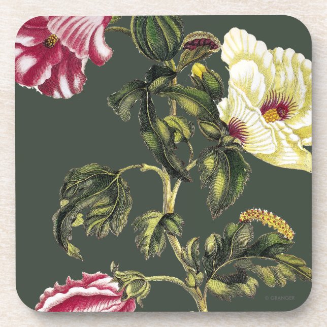 Okra Coaster (Front)