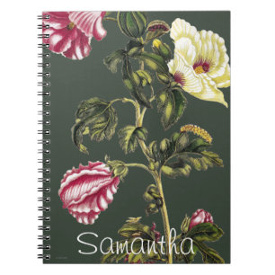 Okra Notebook