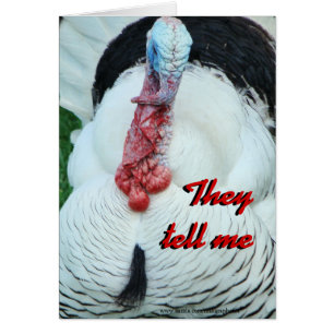 Ol' Ed talkin'-customise any occasion