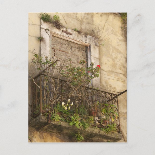 Old Abandoned House Postcard (Front)