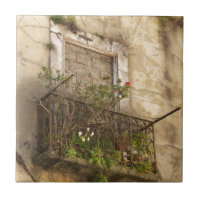 Old Abandoned House