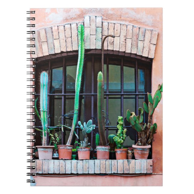 Old abandoned window with group of cactus flower p notebook (Front)