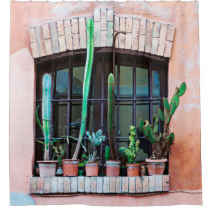 Old abandoned window with group of cactus flower p shower curtain