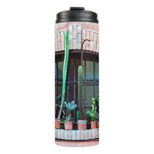 Old abandoned window with group of cactus flower p thermal tumbler