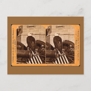 Old Abe, The Wisconsin War Eagle- Stereoview Postcard