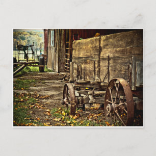 Old Amish Wagon Postcard