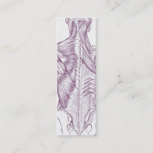 Old anatomy art muscles of the back purple (1890) mini business card (Front)