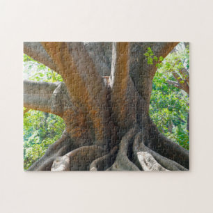 Old ancient 200 year old Tree- Bangalore Garden. Jigsaw Puzzle