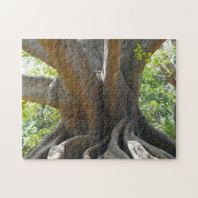 Old ancient 200 year old Tree- Bangalore Garden. Jigsaw Puzzle (Horizontal)