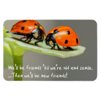 Old and Senile Ladybug New Friends Funny Bestie