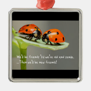 Old and Senile Ladybug New Friends Funny Bestie Metal Ornament