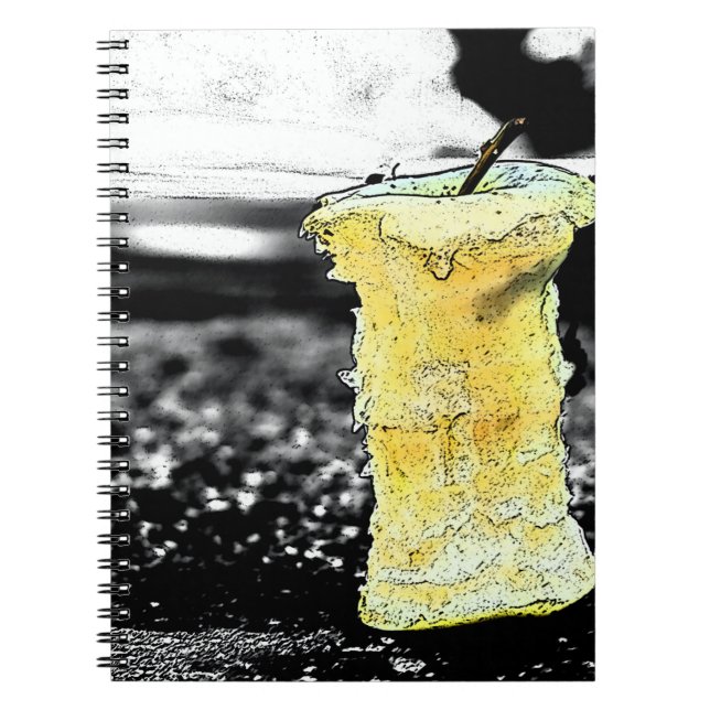 Old apple notebook (Front)