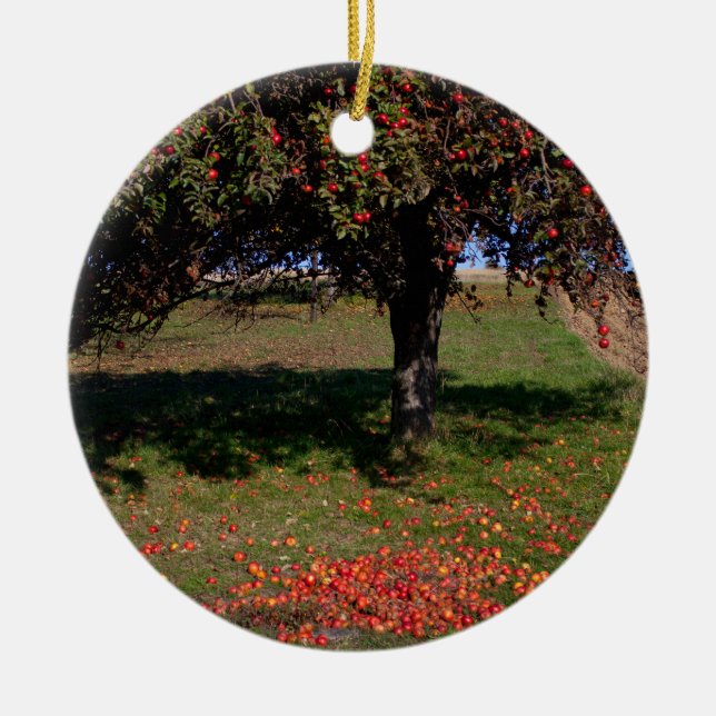 Old Apple Tree Ceramic Tree Decoration (Front)