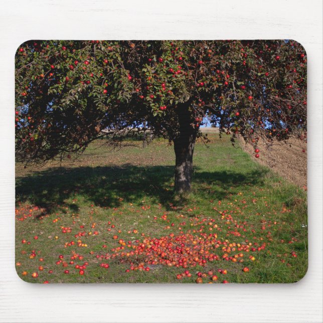 Old Apple Tree Mouse Pad (Front)