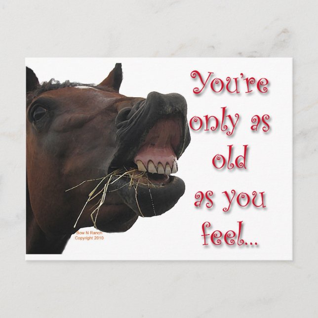 Old as You feel funny horse Postcard (Front)