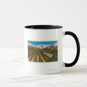 Old Baldy Mountain from the Orange Groves Mug