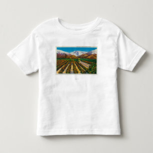 Old Baldy Mountain from the Orange Groves Toddler T-Shirt