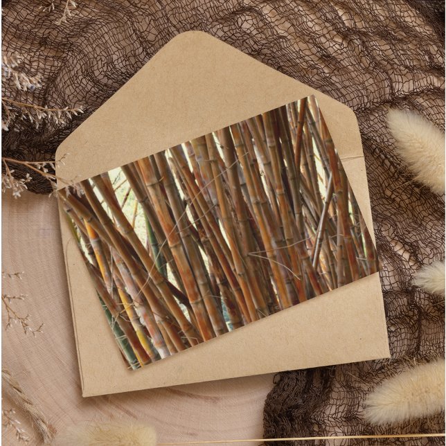 Old Bamboo Paper (Creator Uploaded)