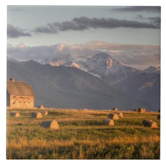 Old barn framed by hay bales and dramatic ceramic tile (Front)
