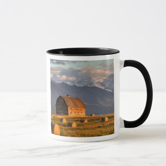 Old barn framed by hay bales and dramatic mug (Right)