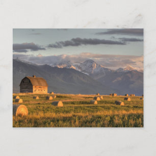 Old barn framed by hay bales and dramatic postcard