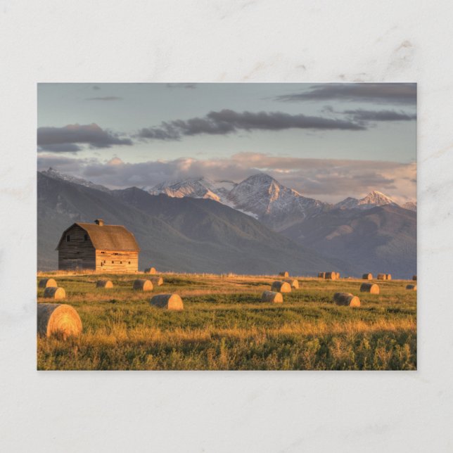 Old barn framed by hay bales and dramatic postcard (Front)