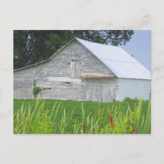 Old Barn In A Green Field Postcard