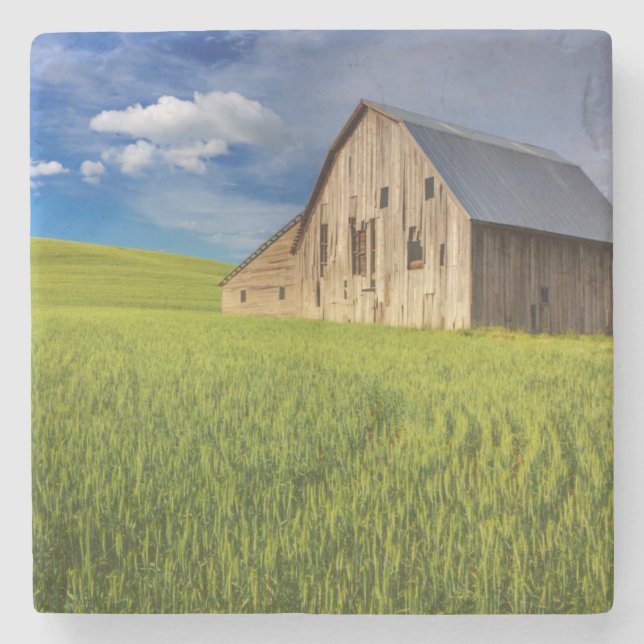 Old Barn in Field of Spring Wheat Stone Coaster (Front)