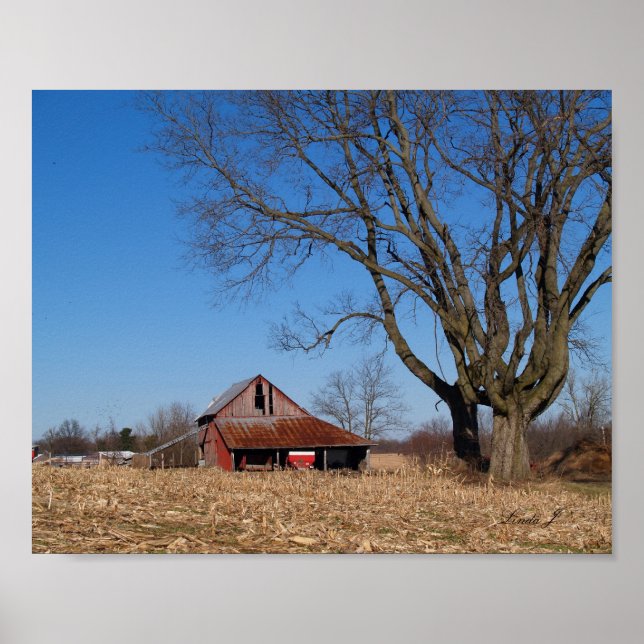 Old Barn in Illinois USA Canvas Print (Front)