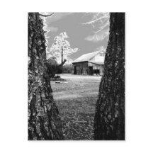Old Barn Rural Barns Country Black & White Photo