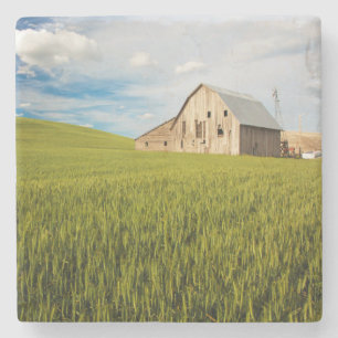 Old Barn Surrounded by Spring Wheat Field 2 Stone Coaster
