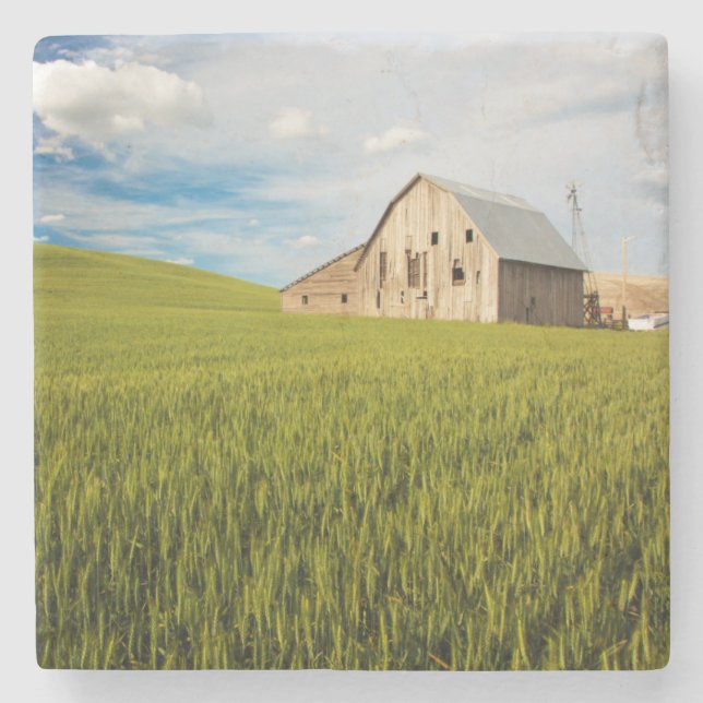 Old Barn Surrounded by Spring Wheat Field 2 Stone Coaster (Front)