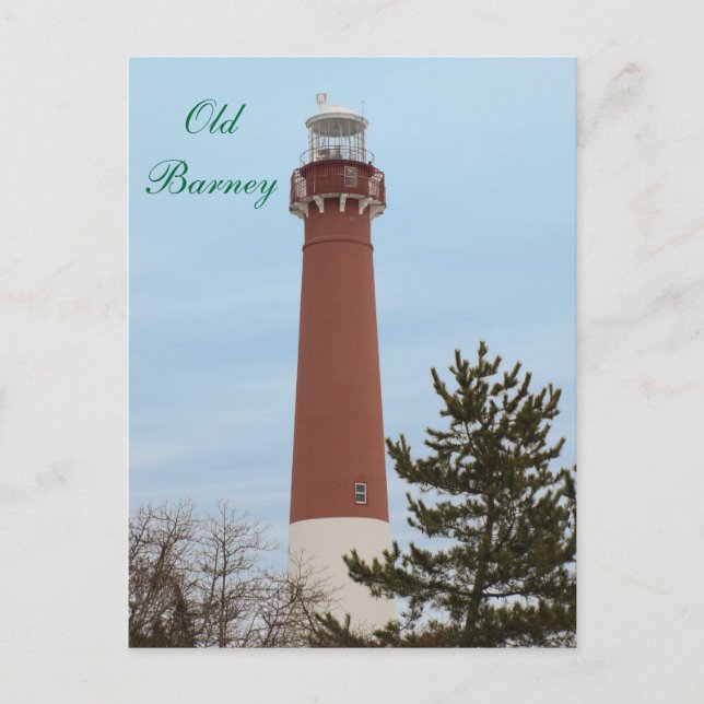 Old Barney Lighthouse NJ Postcard (Front)